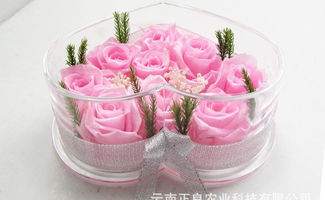 真空玫瑰的魅力 云南菲丽雅保鲜花成为节日礼品新宠