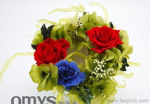 日本OMYS进口保鲜花摆设 永恒之美，尽在陶瓷工艺