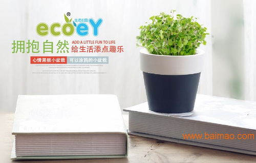 植物与心情对话 体验ecoey迷你陶瓷花盆的文创美学