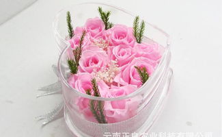 云南菲丽雅保鲜花礼盒 9朵真空玫瑰塑造永恒之美